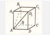 0301kvk8-8787-163x113.png