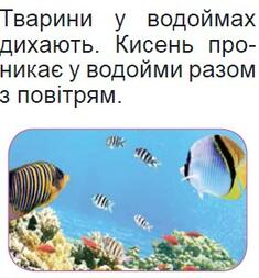 0301kw0d-6924-235x253.jpg