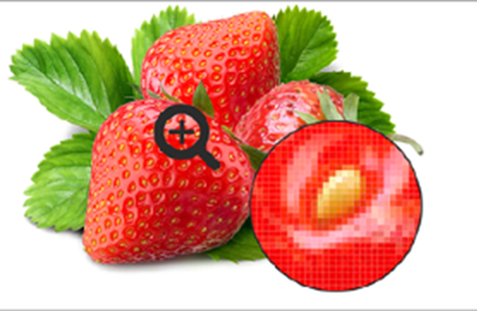 0301kwvg-400b-477x311.png