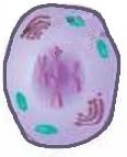 0301l07i-ab8c-116x143.png