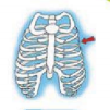 0301l1ir-cd0d-101x101.png