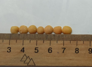 0301l2q2-2fc6-300x219.png