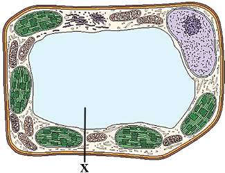 0301l49y-c371-325x250.png