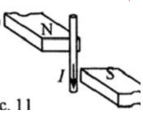 0301l8yi-df12-295x263.png