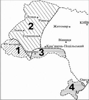 0301l9cc-51a9-295x332.jpg