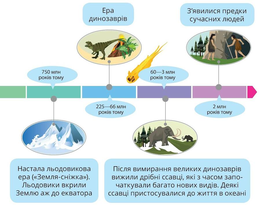 0301l9r9-ce8d-940x709.jpg