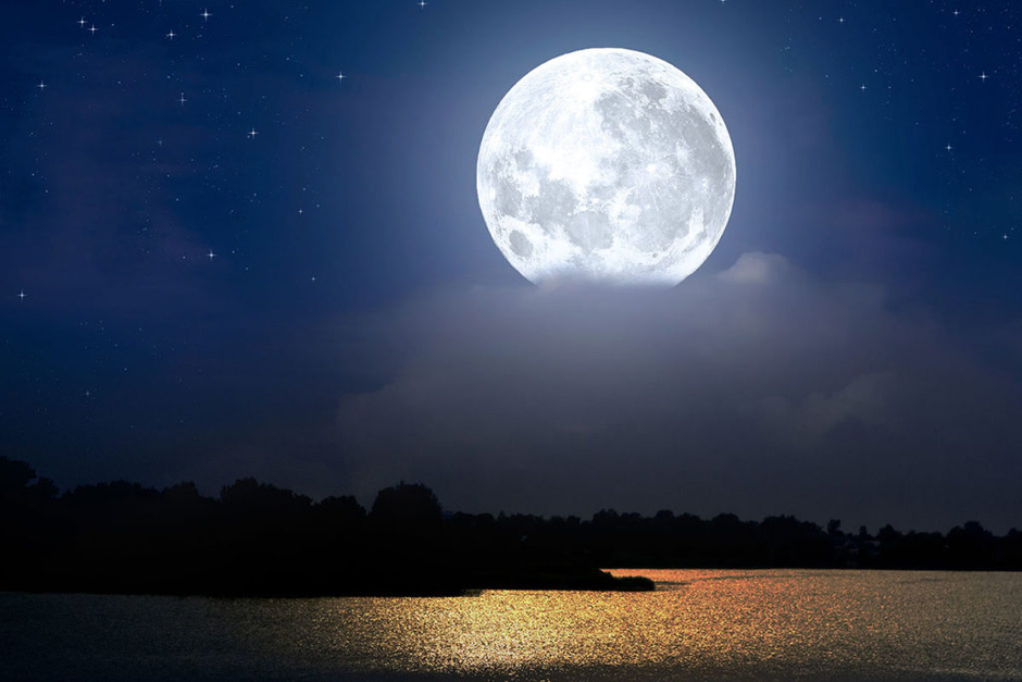 0301la0c-6ed8-940x627.png