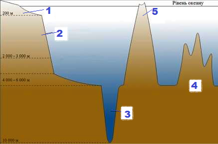 0301lau5-91f3-437x290.png