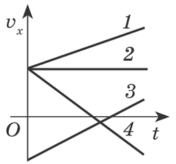 0301leje-eee2-257x240.png