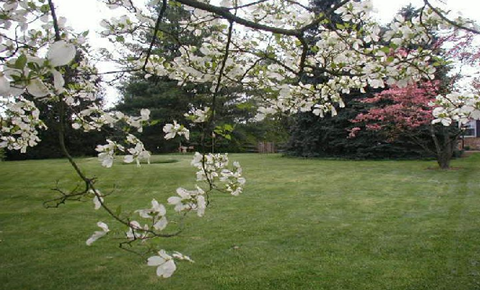0301ljb3-6a78-480x290.png