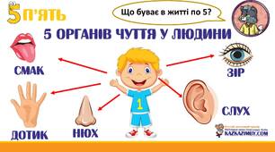 Презентація " Я вивчаю свій організм"