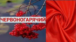 Слова-винятки. Підготовка до ЗНО.