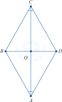 0301lnb4-3246-204x333.png