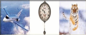 0301loav-c442-545x220.png
