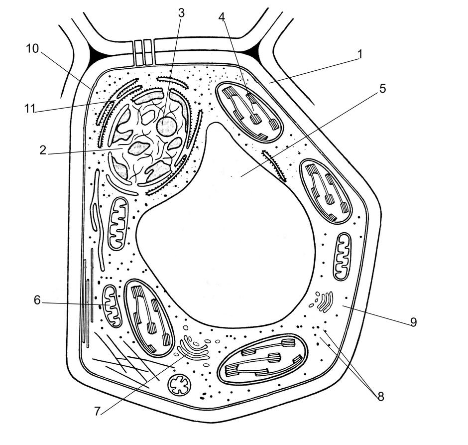 0301lsxo-91b5-940x893.jpg