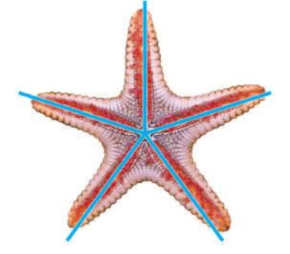 0301lv9v-b417-940x822.jpg