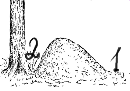 0301lvf3-b92d-426x298.png