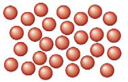 0301lvln-250d-188x121.png