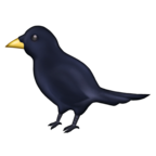 0301lw4p-28ad-144x144.png