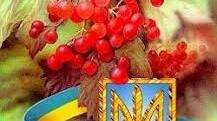 Презентація до уроку за темою: "Патріотичні мотиви пісень літературного походження. «Ой у лузі червона калина похилилася»."