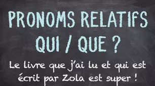 Pronoms relatifs QUI /QUE