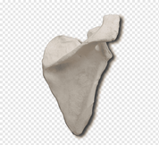 0301m20l-d3f7-178x162.png