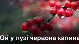 "Ой у лузі червона калина похилилася" С.Чарнецького та Г.Труха