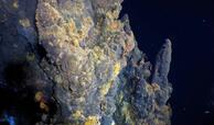 First known off-axis, high-temperature deep sea hydrothermal vents along portion of the northern East Pacific Rise | NSF - National Science Foundation