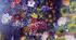 НУШ "Фарбований Лис". Завдання для учнів 5 класу