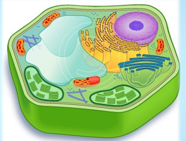0301m7yj-5057-378x287.png