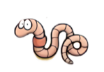0301m89p-194a-548x384.png