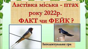 "Ластівка міська - птах року 2022р. ФАКТ чи ФЕЙК ?"