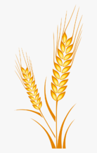 0301m9c8-465c-138x218.png