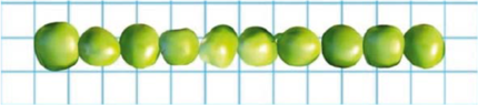 0301ma3p-6d1e-430x95.png