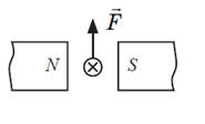 0301mafc-9d3a-185x112.png