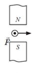 0301mafn-4248-85x149.png