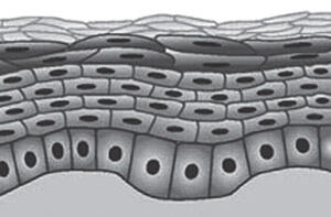 0301man7-32ce-300x197.jpg