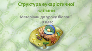 Презентація "Структура еукаріотичної клітини"