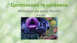 Презентація "Цитоплазма та органели"