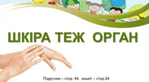 Презентація до уроку Я досліджую світ -  Шкіра теж орган (3 клас)
