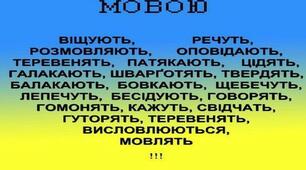 Діалектні, професійні слова й терміни, просторічна лексика
