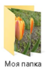 0301mg08-aeee-209x308.png