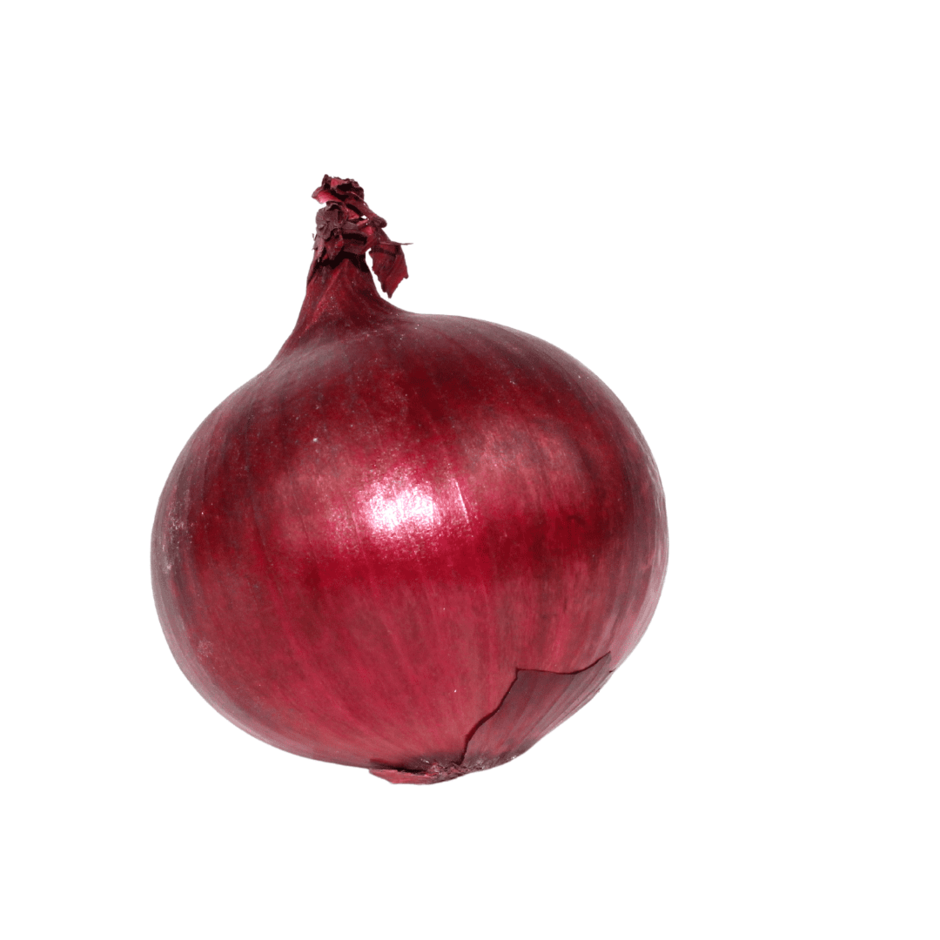 Sprawdzian Der Sommer Ist Vorbei Fokus 2 vseosvita.ua