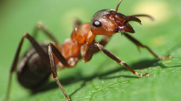 0301mhp2-d6e4-600x337.png