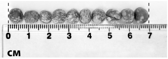 0301milj-f81d-607x214.png