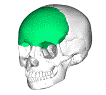 0301mkm7-1cc3-106x95.gif