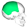 0301mkms-55cb-95x95.png