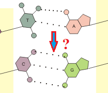 0301mkol-a589-221x191.png
