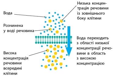 0301mmhz-2a49-370x249.jpg