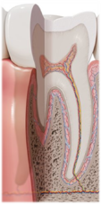0301mmji-27f3-113x227.png
